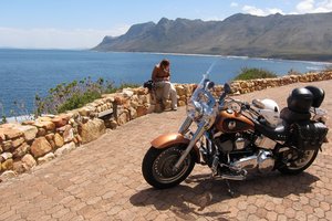harley_fatboy