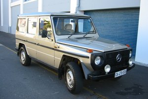 merc_230g_hermanus