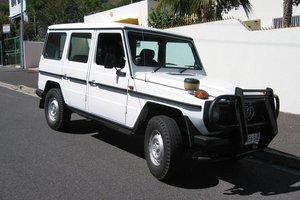 merc_290gd_wido