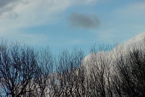 20010828_anya_jane
