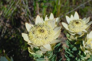 20020818_takbok