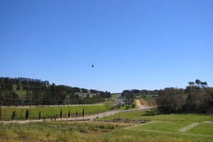 20020825_morgenhof