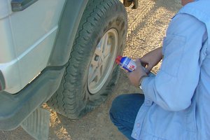 20020908_cederberg
