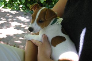 20021124_meredith