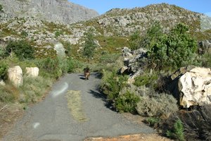 20040514_cederberg