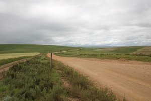 20040924_gansbaai