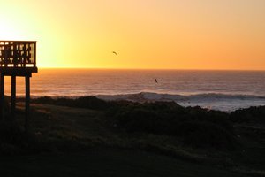 20041011_ganzekraal