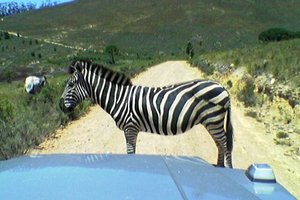 20050117_various_4x4
