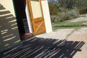 20060921_whale_trail