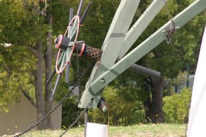 20080503_olive_festival