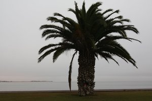 20080509_namibia