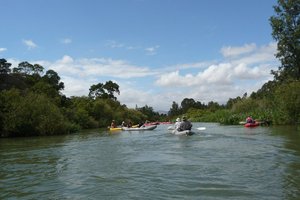 20100221_breede_river