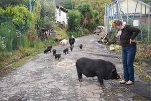 20111113_besuch_gela