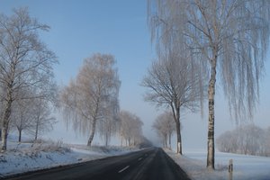 20130118_germany