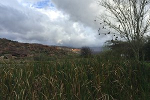 20150907_bushmans_kloof