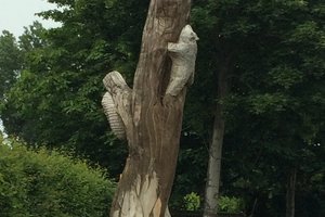 20160612_radtour_steinhude