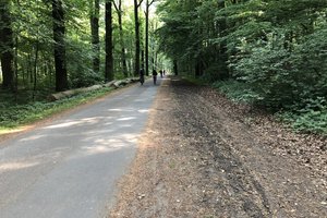 20180524_Fahrrad