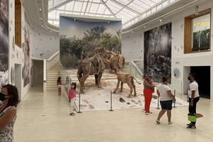 20210417_west_coast_fossils
