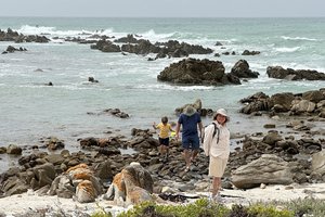 20240105_struisbaai