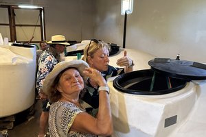 20240202_steytlerville