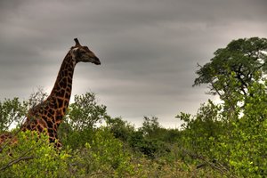 20101208_java