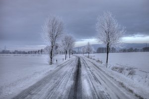 20110100_germany